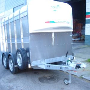 IFOR WILIANS  10 x 6