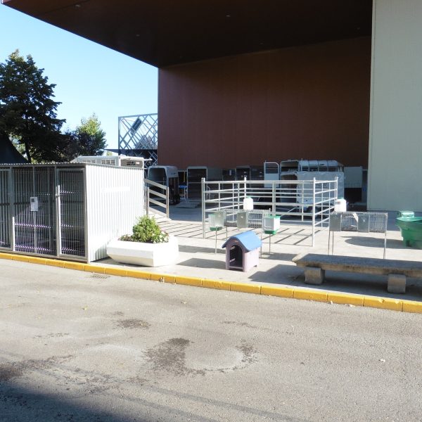 AGROPEC GIJON 2016 - Imagen 42