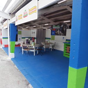 FERIA DE TINEO 2019